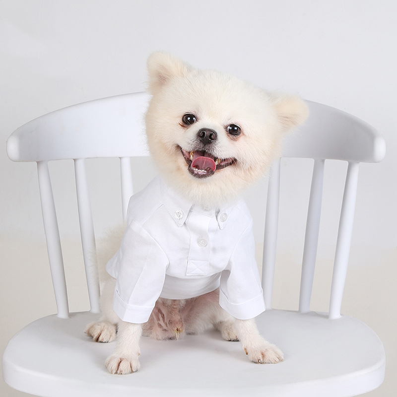 Summer Dog Clothing - เดรสยาวหน้าร้อนสำหรับสัตว์เลี้ยงแบบบางอเนกประสงค์สำหรับสุนัขเสื้อผ้าบูติกอินเทรนด์สำหรับสัตว์เลี้ยงฤดูใบไม้ผลิและฤดูใบไม้ร่วง