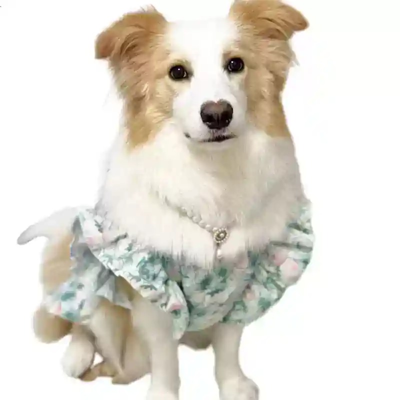 Summer Dog Clothing - เสื้อผ้าสัตว์เลี้ยง ฤดูใบไม้ผลิและฤดูร้อน เสื้อผ้าสุนัขขนาดกลางและใหญ่ น่ารัก ลายดอกไม้ กระโปรงเจ้าหญิง