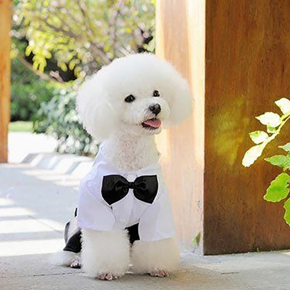 Summer Dog Clothing - สุนัข Bow Tie ชุด Tuxedo เครื่องแต่งกายอย่างเป็นทางการเสื้อสายคล้องผ้าสไตล์เสื้อผ้าสัตว์เลี้ยงงานแต่งงานเสื้อแจ็คเก็ตสีดําชุดลูกสุนัขสําหรับกลางแจ้ง