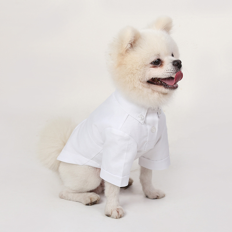 เดรสยาวหน้าร้อนสำหรับสัตว์เลี้ - Summer Dog Clothing บทวิจารณ์และราคา