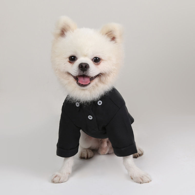 เดรสยาวหน้าร้อนสำหรับสัตว์เลี้ - Summer Dog Clothing บทวิจารณ์และราคา