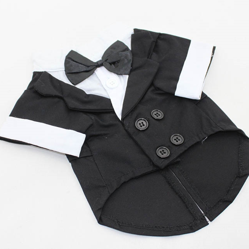 เสื้อสุนัขเสื้อผ้าลูกสุนัขชุดแ - Summer Dog Clothing บทวิจารณ์และราคา