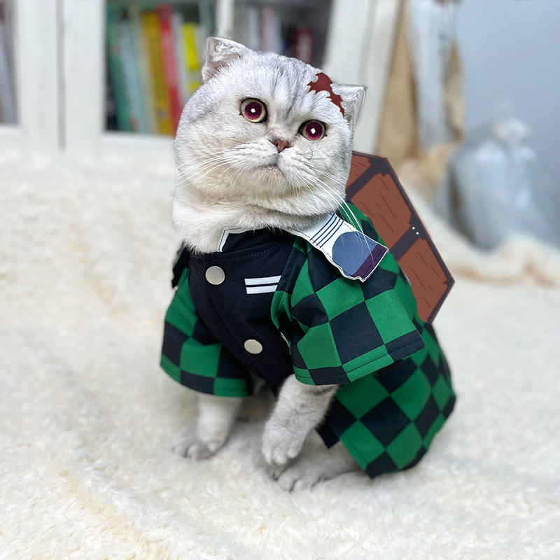 เสื้อผ้าสัตว์เลี้ยงลายอนิเมะ D - Summer Dog Clothing บทวิจารณ์และราคา
