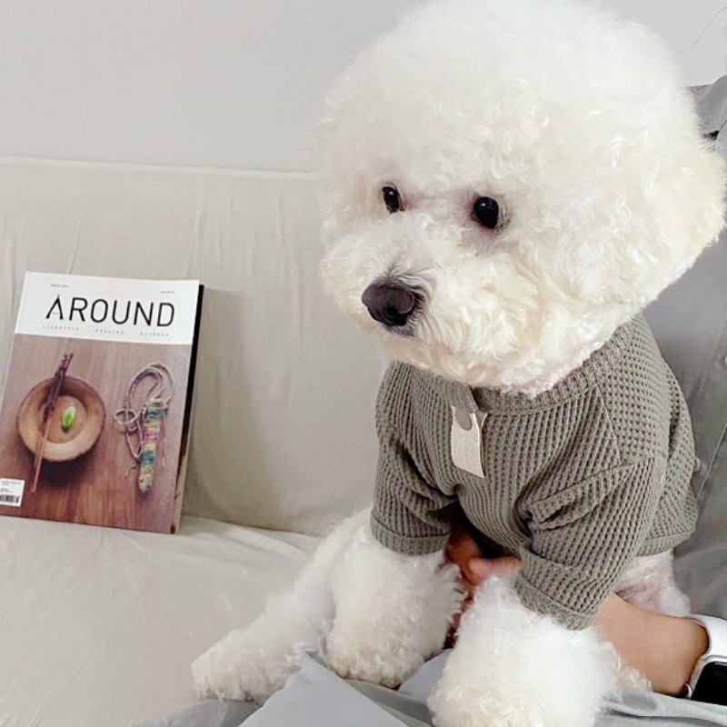 เสื้อผ้าสัตว์เลี้ยงฤดูร้อน เสื - Summer Dog Clothing บทวิจารณ์และราคา