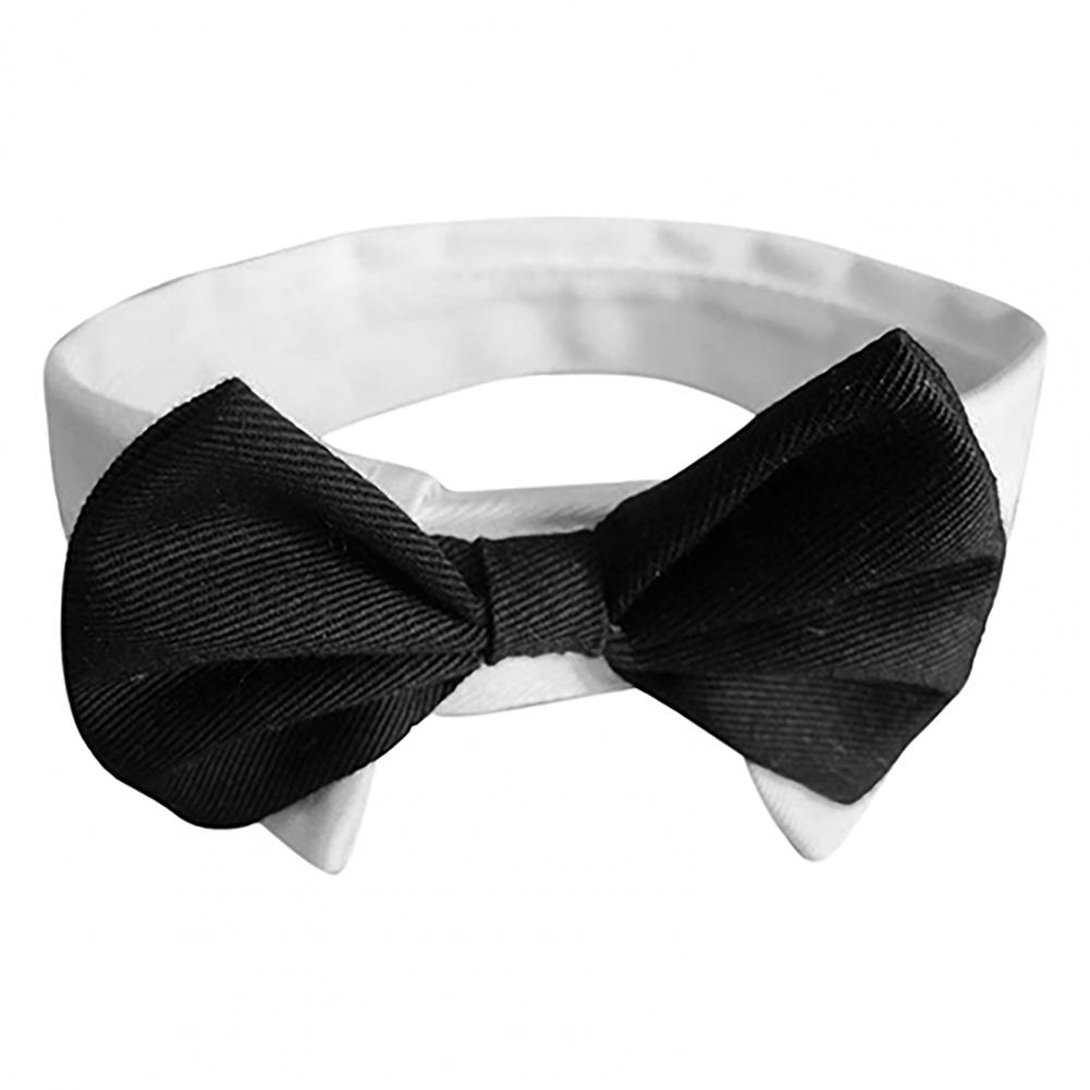 สุนัข Bow Tie ชุด Tuxedo เครื่ - Summer Dog Clothing บทวิจารณ์และราคา