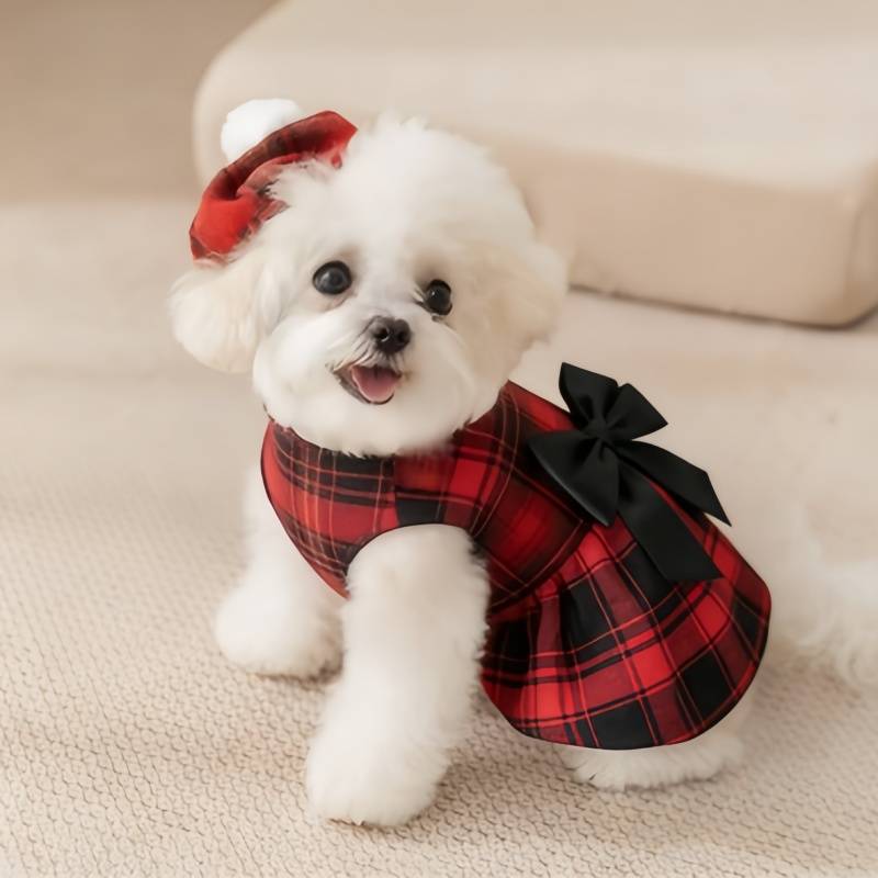 เสื้อผ้าสุนัขลายสก็อต ชุดสูทผู - Summer Dog Clothing บทวิจารณ์และราคา