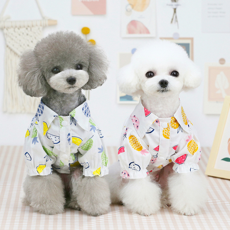 เสื้อผ้าสัตว์เลี้ยงสำหรับฤดูใบ - Summer Dog Clothing บทวิจารณ์และราคา