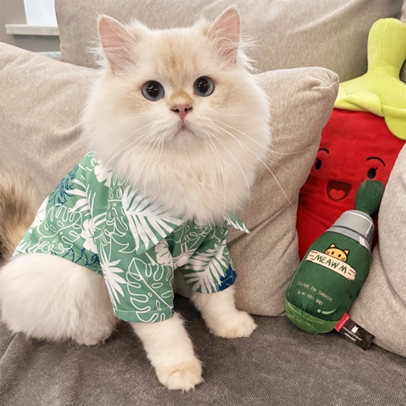 เสื้อเชิ้ตสุนัขสไตล์ฮาวายฤดูร้ - Summer Dog Clothing บทวิจารณ์และราคา